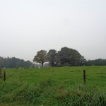 Boerstege 24-09-2014 11.39 