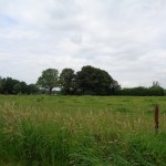 Boerstege 24-06-2014 10.21