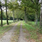 Grote Esweg 25-09-2014 11.13 