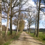 Grote Esweg 25-03-2014 12.35