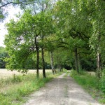 Grote Esweg 25-06-2014 11.28