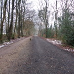 Houwbeekweg 03-01-2015 11.07 