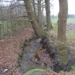 Nieuwendijk net buiten Lonneker oude spoorlijn 03-01-2015 15.43 