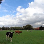 Rooskerweg 07-10-2014 13.07 