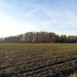 Rooskerweg 07-01-2015 15.40 