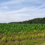 Rooskerweg 07-07-2014 11.37