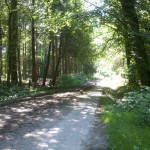 Wiedicksbeekweg 18-05-2014 11.34