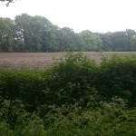 Zelfertweg 23-05-2014 10.02