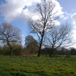 Boerstege 24-03-2014 10.41