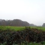 Bonekampweg 09-12-2014 13.11 