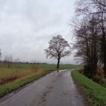 Borgweg 29-01-2015 12.47 