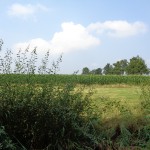 Borgweg 29-07-2014 11.36