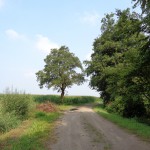 Borgweg 29-07-2014 11.36