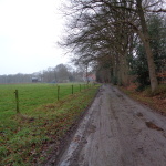 Boshofweg 10-01-2015 13.27 