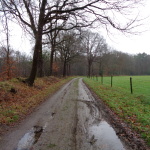 Boshofweg 10-01-2015 13.27 