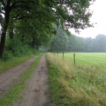 Boshofweg 10-07-2014 09.50