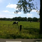 Burgermeester Stroinkstraat 11-06-2014  15.07