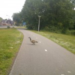 Buursestraat 26-05-2014 10.36 