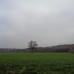 Dorperhoekweg Hengelo 29-12-2014 14.25