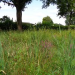 Fietspad achter Beltrumbrink 06-08-2014 15.10 