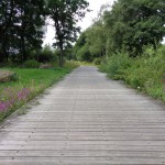 Fietspad achter Beltrumbrink 06-08-2014 15.10 