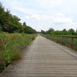 Fietspad achter Beltrumbrink 06-08-2014 15.10 