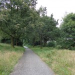 Fietspad achter wesselerbrinkpark 11-08-2014 17.54