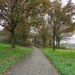 Fietspad achter wesselerbrinkpark 11-11-2014 13.44 