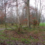 Golfveldweg Hengelo 19-01-2015 11.21 