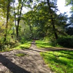 Golfveldweg Hengelo 19-10-2014 11.21