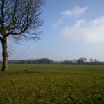 Grensweg op het voormalig militair terrein ‘t Zuidkamp 05-03-2014 11.38