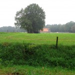 Haverrietweg 19-06-2014 14.07 