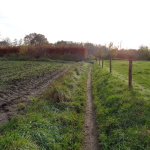 een zandpad zonder naam in het verlengde van de Hegeboerweg 25-11-2014 14.52 