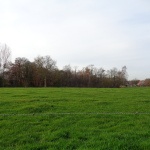 een zandpad zonder naam in het verlengde van de Hegeboerweg 25-11-2014 14.52 