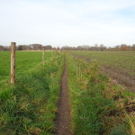 een zandpad zonder naam in het verlengde van de Hegeboerweg 25-11-2014 14.52 