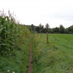 een zandpad zonder naam in het verlengde van de Hegeboerweg 25-08-2014 10.31