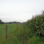 een zandpad zonder naam in het verlengde van de Hegeboerweg 25-08-2014 10.31