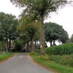 Helmerstraat 10-09-2014 10.21