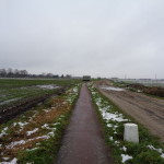 Helweg 02-02-2015 11.52 