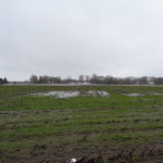 Helweg 02-02-2015 11.52 