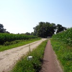 Helweg 02-08-2014 10.56