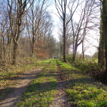 Kersdijk 28-12-2014 13.29 