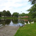 Knalhutteweg 22-08-2014  09.41 