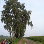 Lammerinkweg Usselo 20-09-2014 12.321 