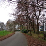 Morshoekweg 30-11-2014 14.57 