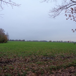 Mosbeekweg 20-11-2014 13.10 