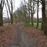 Nieuwendijk net buiten Lonneker oude spoorlijn 03-01-2015 15.43 