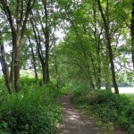 Nieuwendijk net buiten Lonneker oude spoorlijn 03-07-2014 11.35