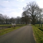 Roodmolenweg 07-03-2014  12.13