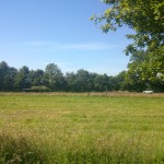 Roodmolenweg 07-06-2014 10.29